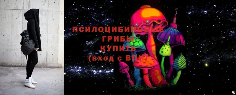 Галлюциногенные грибы Psilocybine cubensis  закладка  Голицыно 